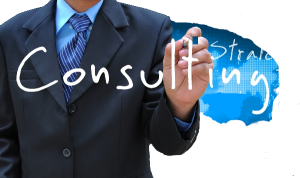 IT-Consultant