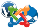 CMS Site Web Bruxelles