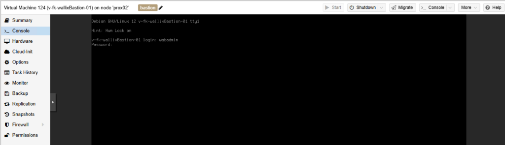copy paste into proxmox console